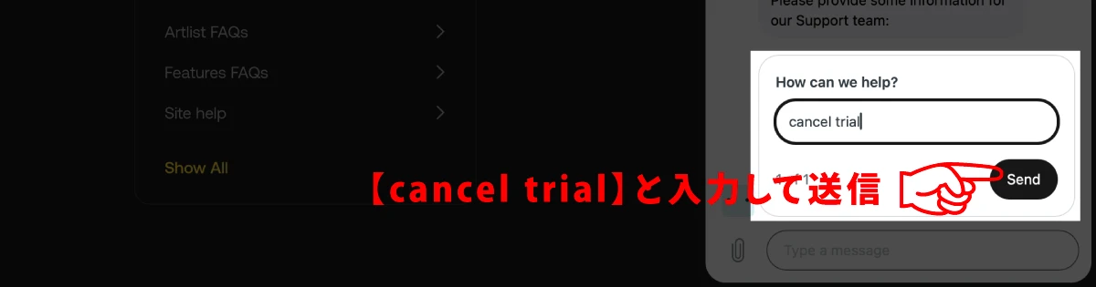 チャット欄に再度cancel trialと入力